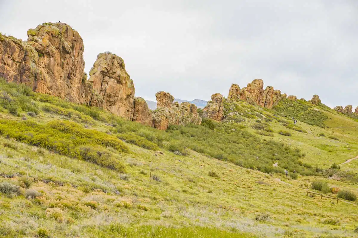 Devil's Backbone 