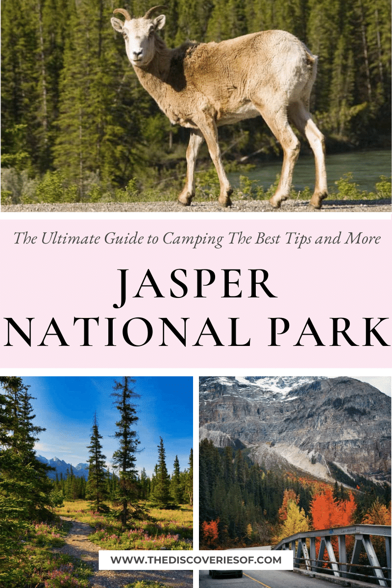 The Ultimate Guide to Camping in Jasper National Park – The Best Campsites, Tips and More!