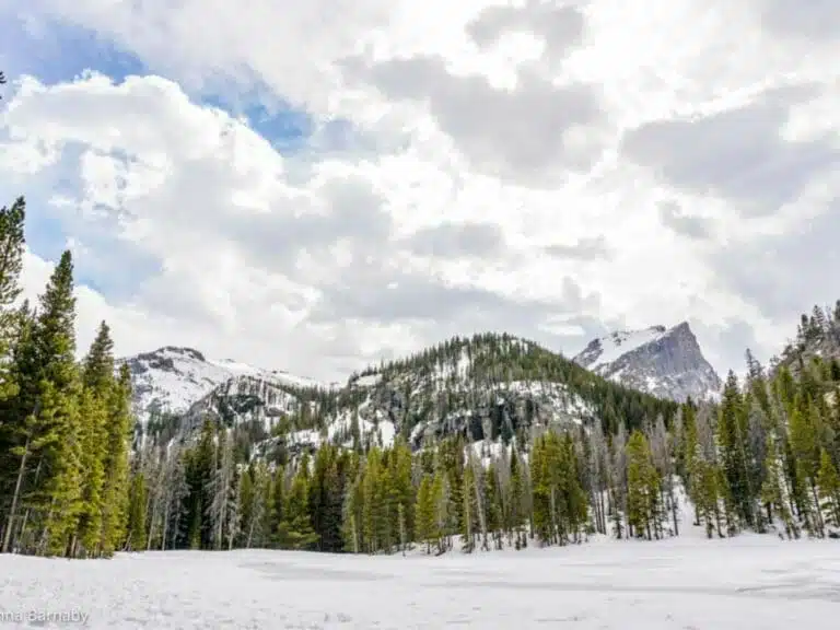 Stunning Hikes in Rocky Mountain National Park: Trails to Help You Discover a Different Side of The Rockies