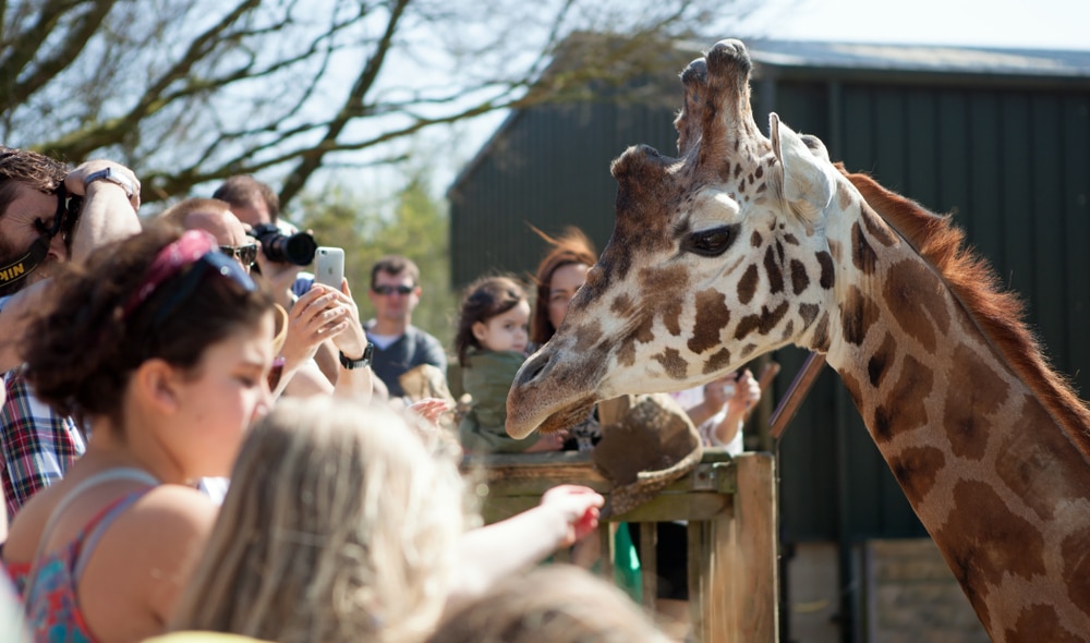 Cotswold Wildlife Park