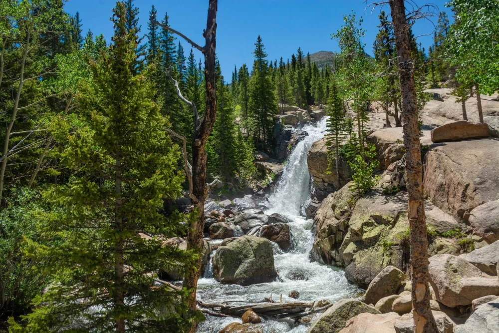 Alberta Falls 