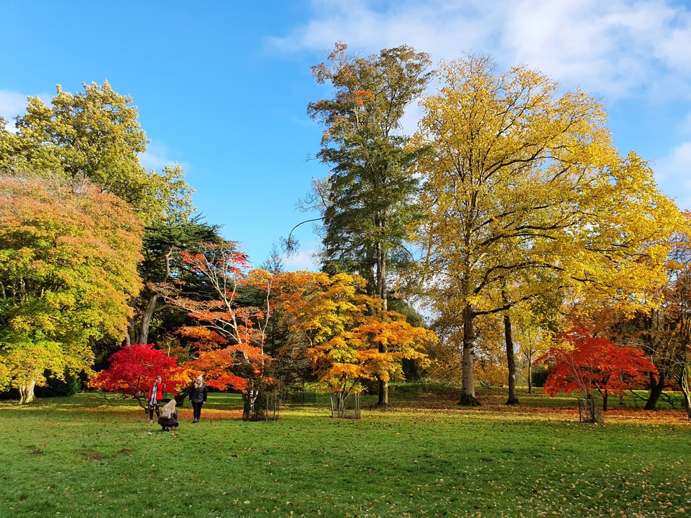 Westonbirt National Arboretum