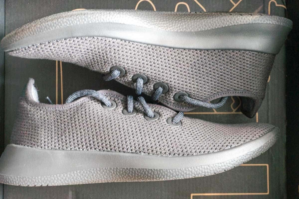 Allbirds Tree Runners Shoes