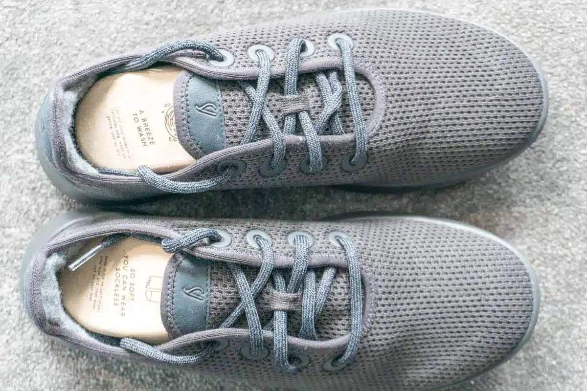 Allbirds Tree Runners Shoes