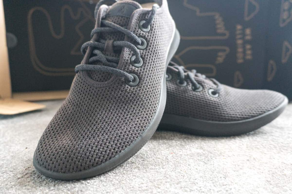 Allbirds Tree Runners Shoes