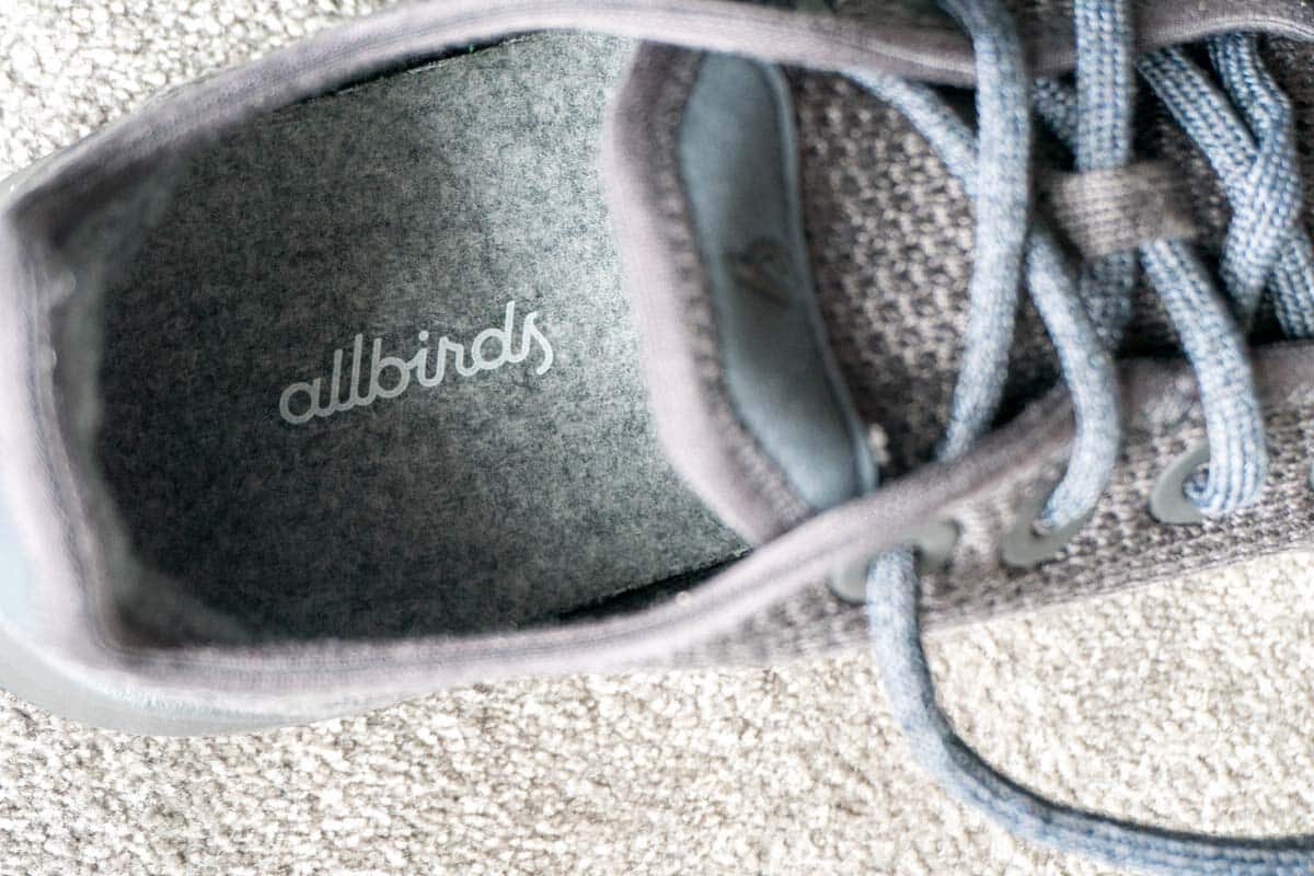 Allbirds Tree Runners Shoes