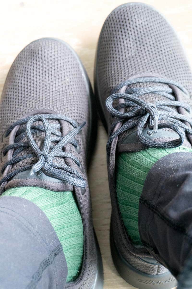 Allbirds Tree Runners Shoes