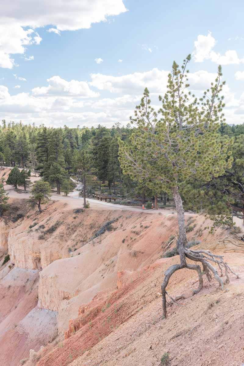 Bryce Canyon National Park Rim Trail