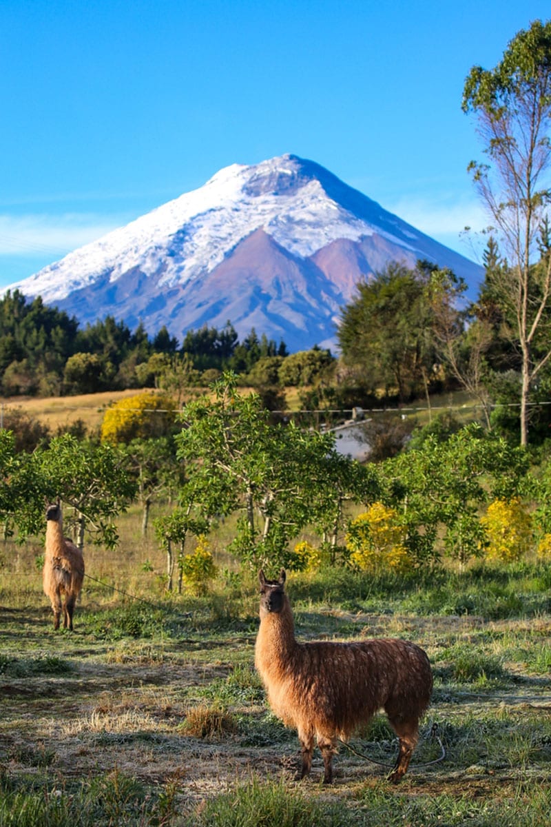 Cotopaxi