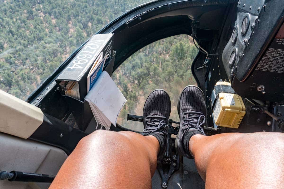 Allbirds Tree Runners in Helicopter