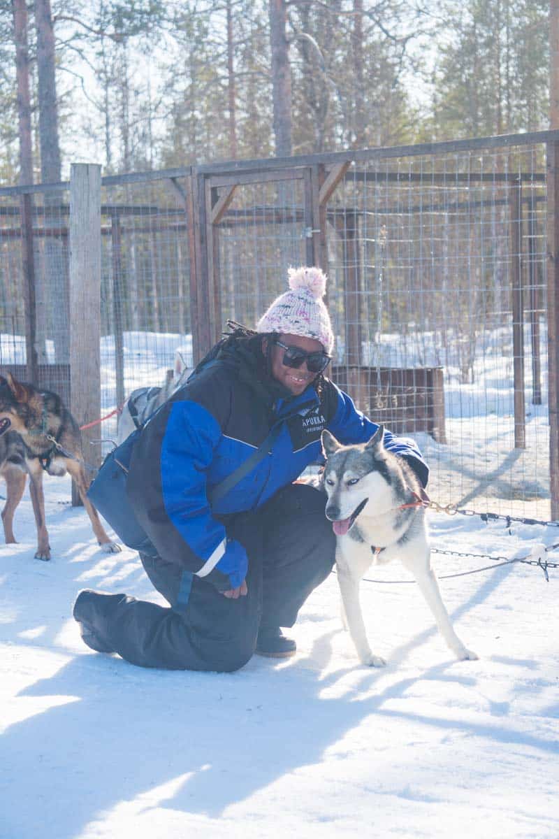 Making friends at the husky farm