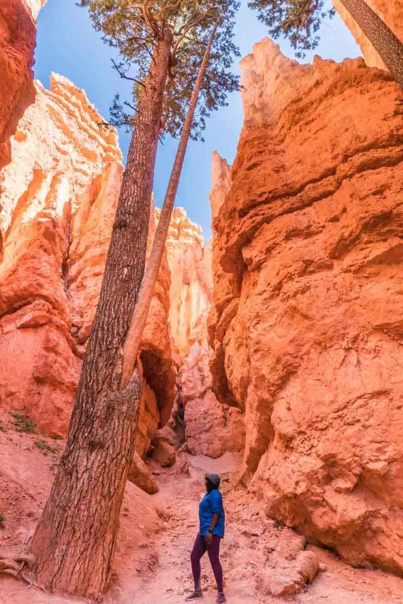 Julianna Barnaby at Navajo Trail Hike Brycewearing Tropicfeel Canyon Shoes