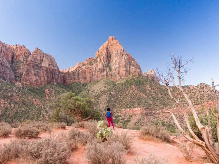 Zion National Park Sticker - Large Waterproof Decal For Cars, Laptops & Water Bottles