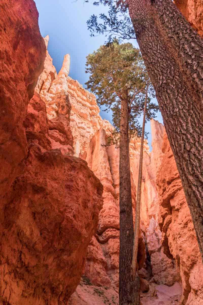 Navajo Trail Hike Bryce Canyon