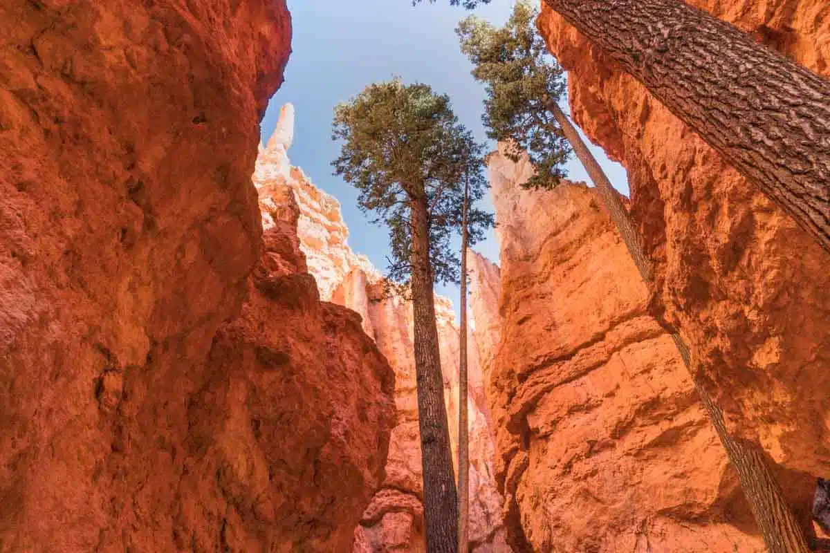 Navajo Trail Hike Bryce Canyon