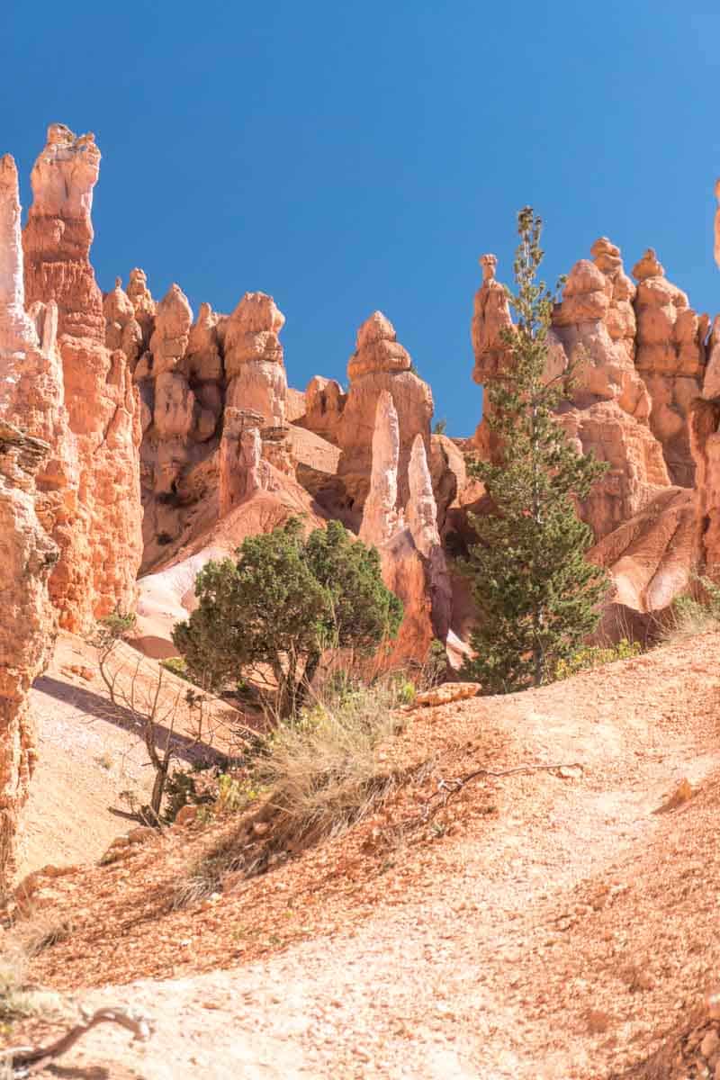 Queen's Garden Trail Hike Bryce Canyon