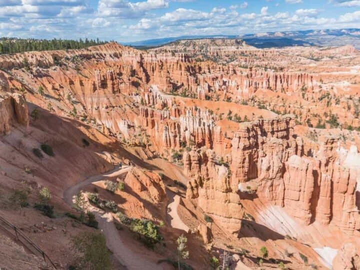 Taking the Bryce Canyon Scenic Drive | Everything You Need to Know + Unmissable Spots