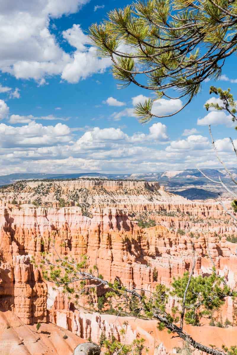 Sunrise Point, Bryce Canyon 