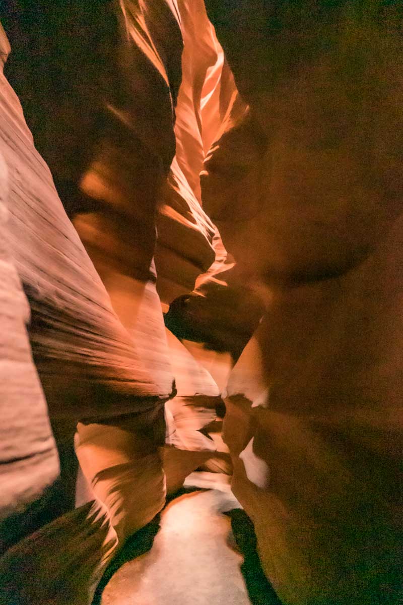 Canyon Antelope 