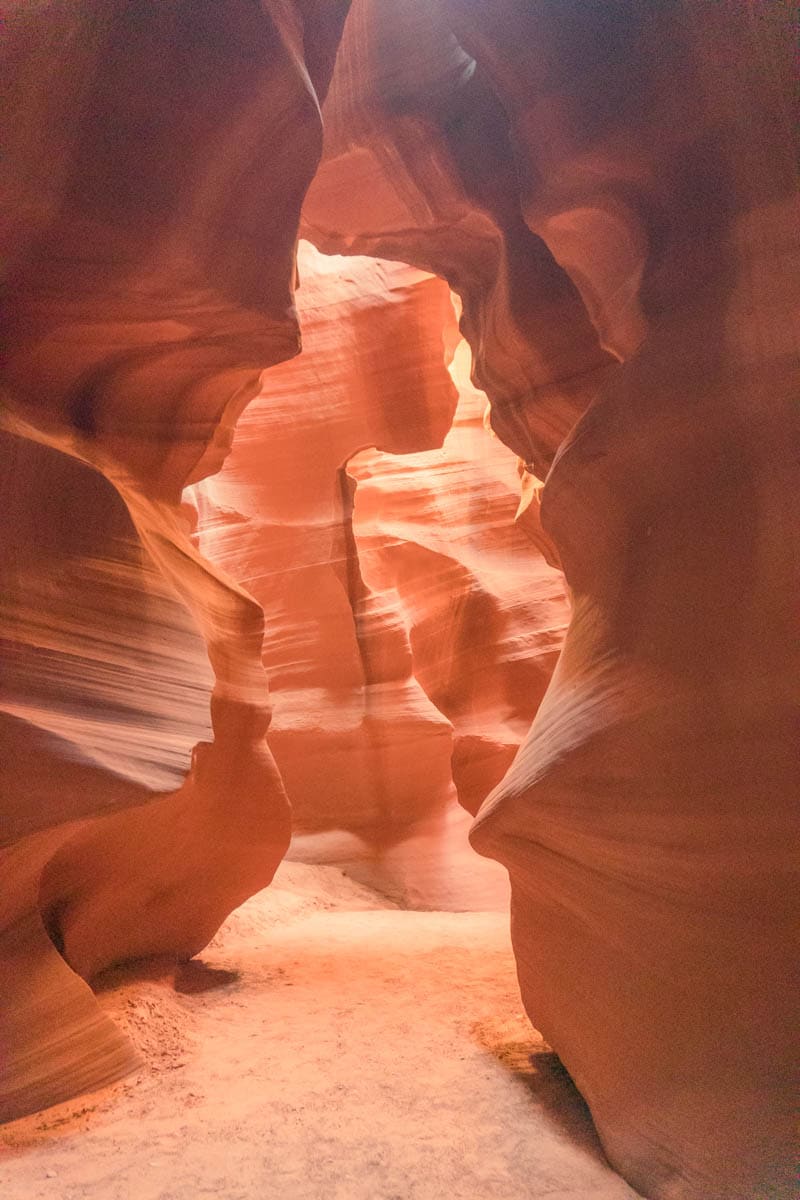 Canyon Antelope 