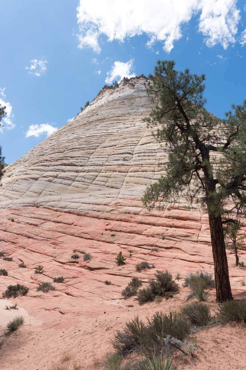 Zion National Park