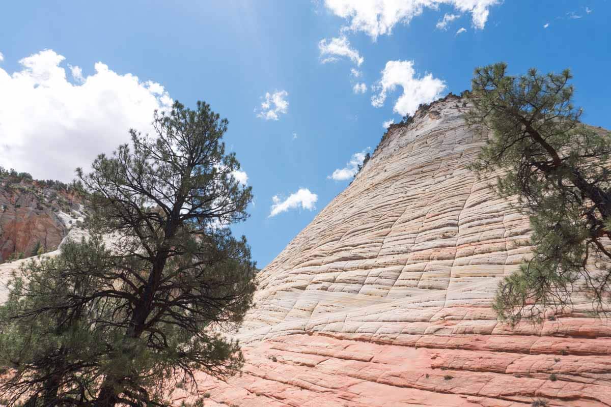 Zion National Park - Checkerboard Mesa