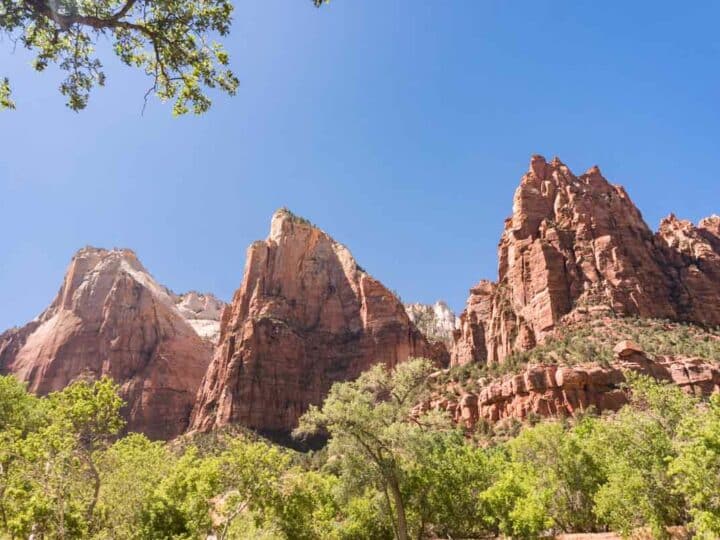 2 Days in Zion | The Ultimate Zion National Park Itinerary