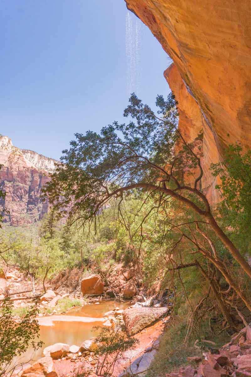 Lower Emerald Pool at Zion National Park