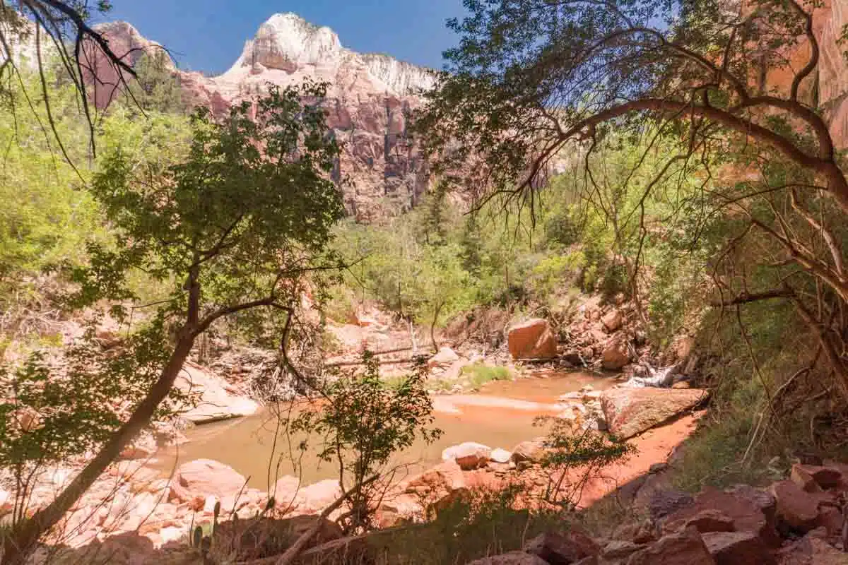 Zion National Park - Lower Emerald Pool Trail Hike