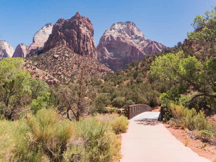 The Best Zion National Park Hikes