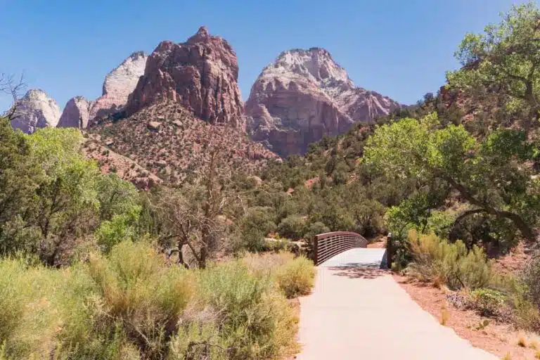 The Best Zion National Park Hikes