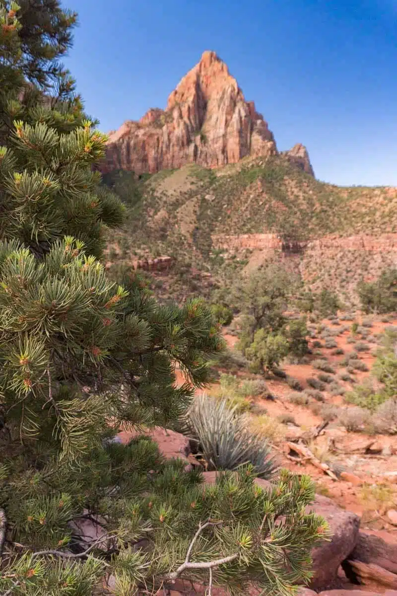 Zion National Park