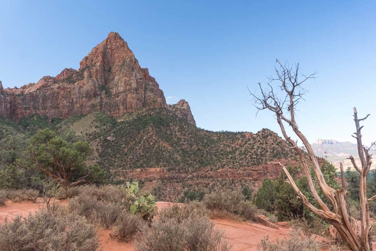 Zion National Park - Watchman Trail Hike