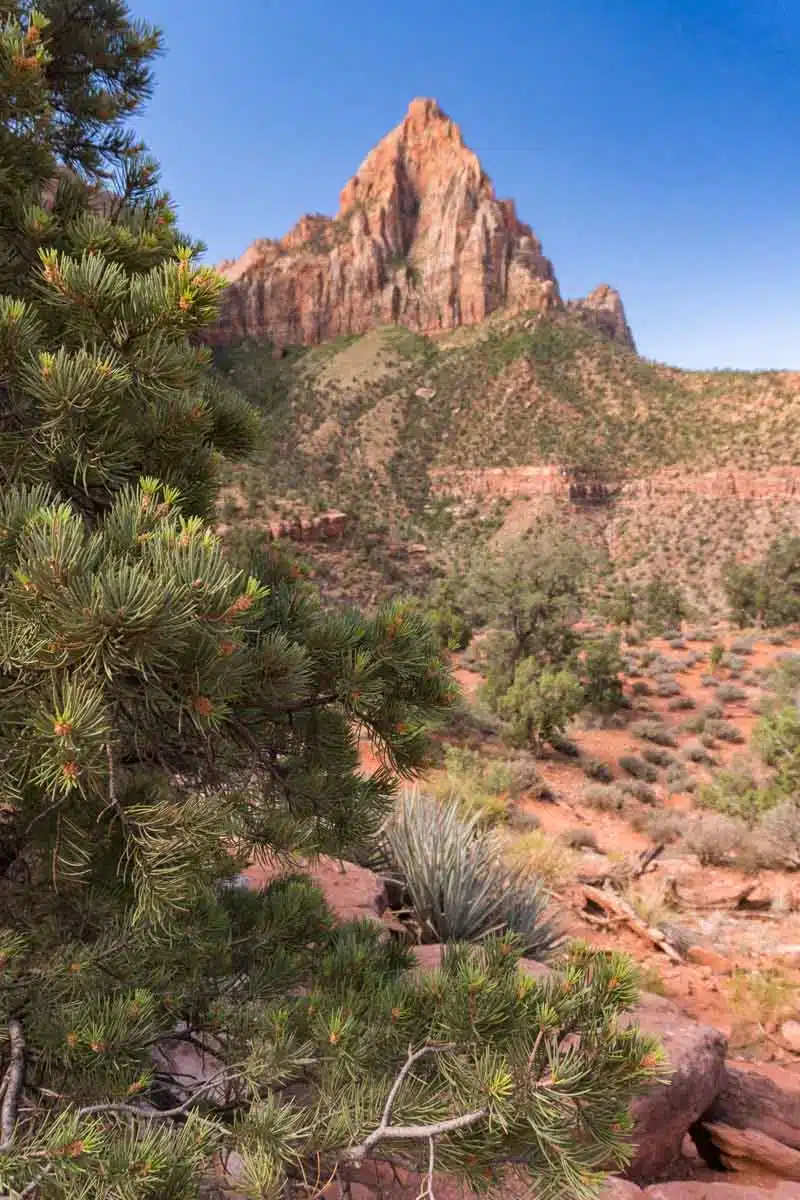 Zion National Park