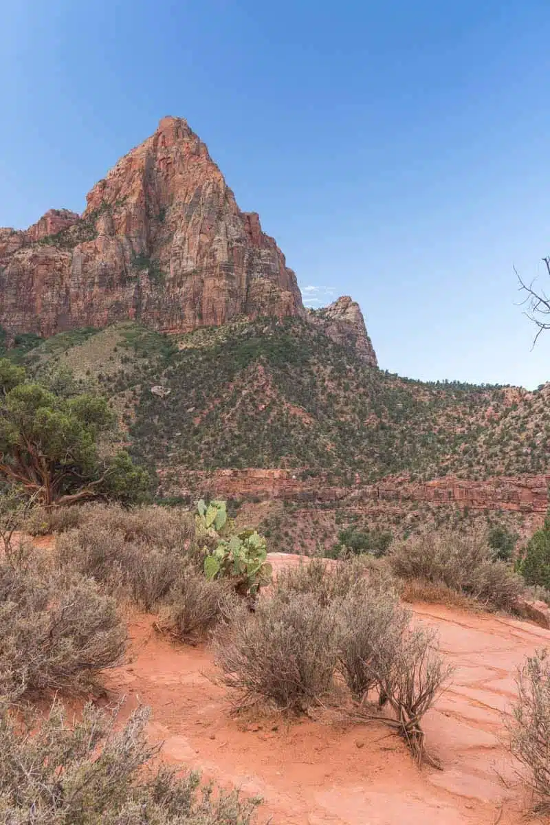 Zion National Park - Watchman Trail Hike