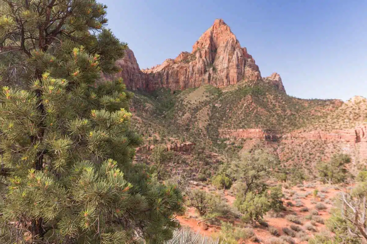 Zion National Park - Watchman Trail Hike