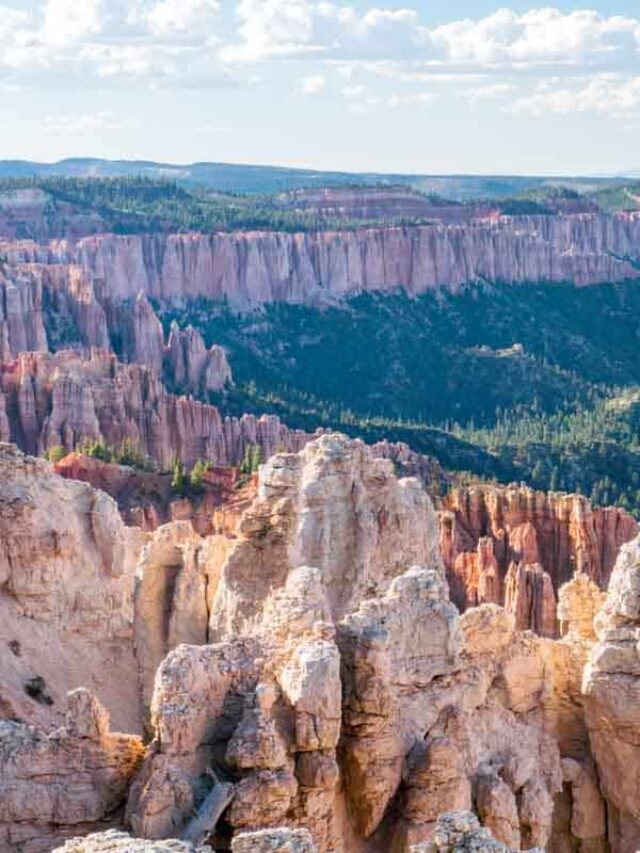 cropped-Bryce-Canyon-National-Park-Rainbow-Point-5.jpg