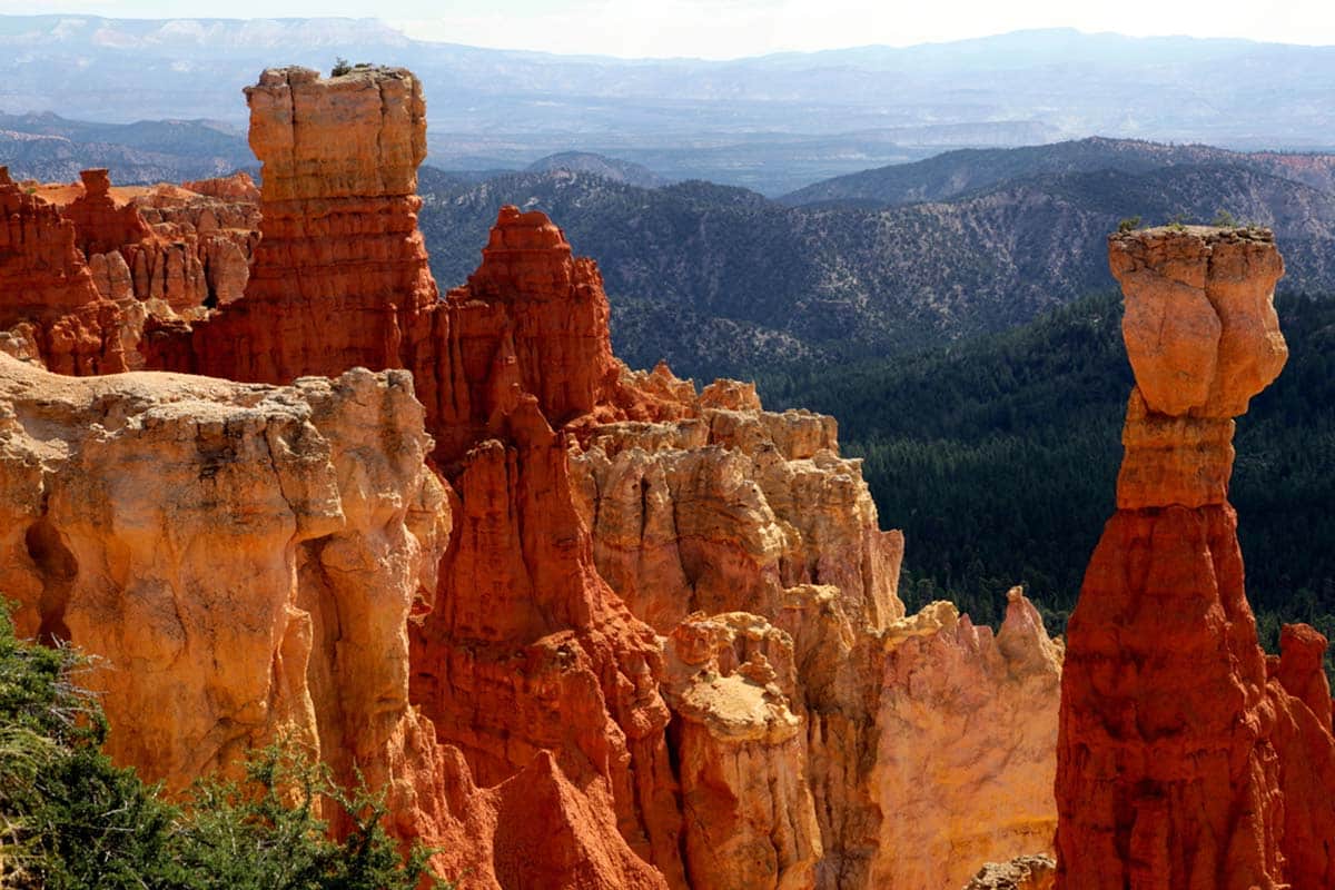 Agua Canyon