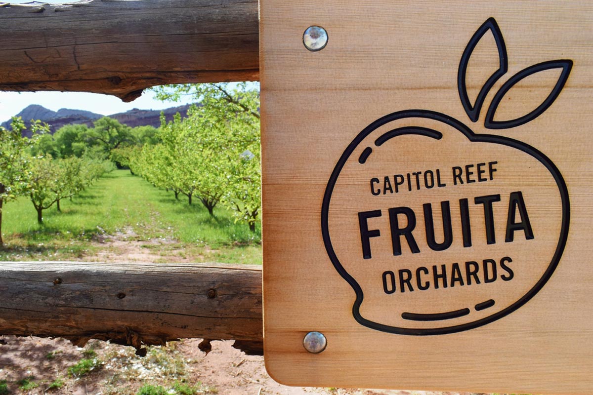 Fruita Orchard