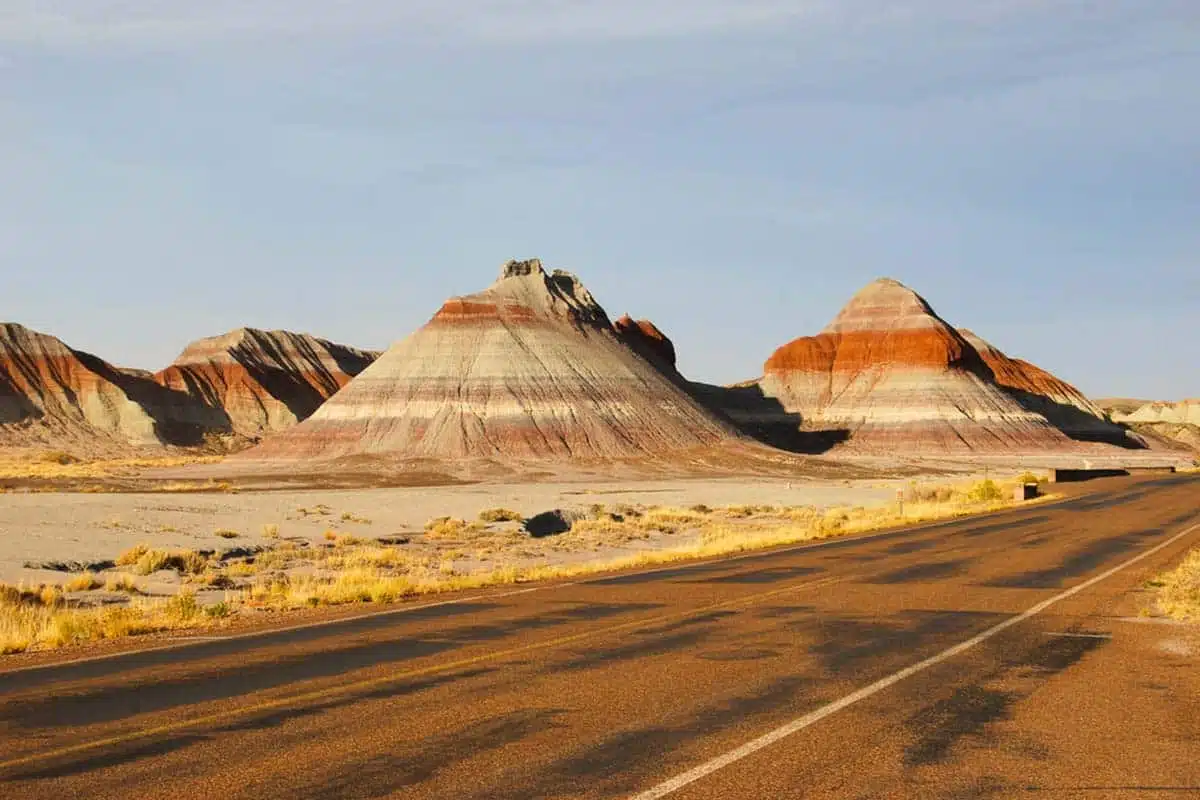 Petrified National Forest