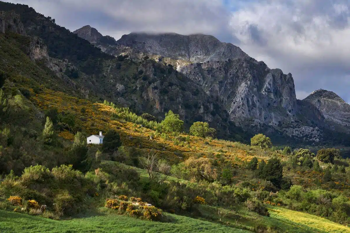 Sierra de las Nieves National Park