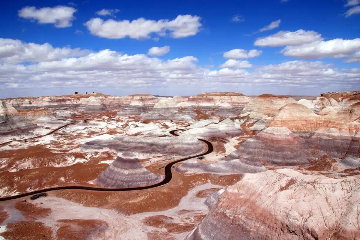 The-Petrified-Forest-National-Park