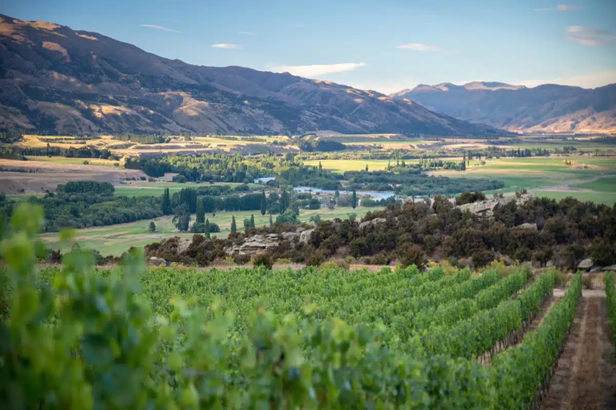 Central Otago 