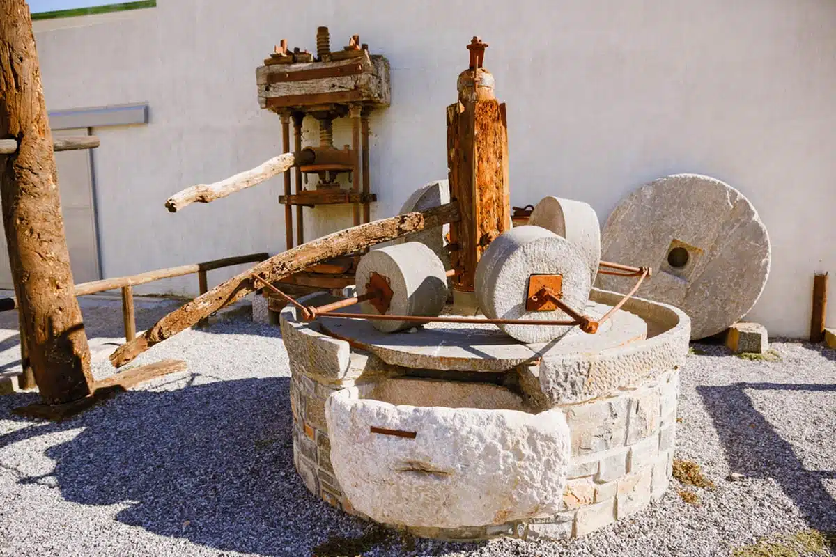 Museum of the Olive and Greek Olive Oil