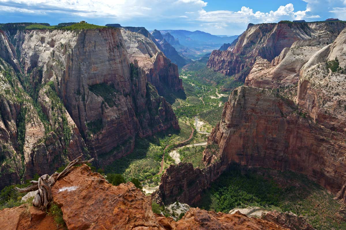 Observation Point