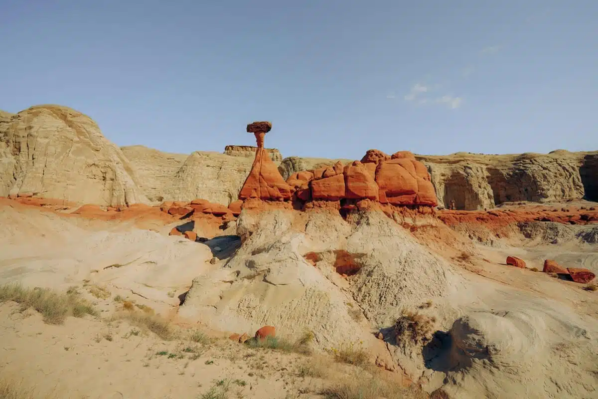 Toadstools Trail