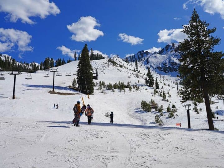 12 Best Ski Resorts in California For You to Hit The Slopes