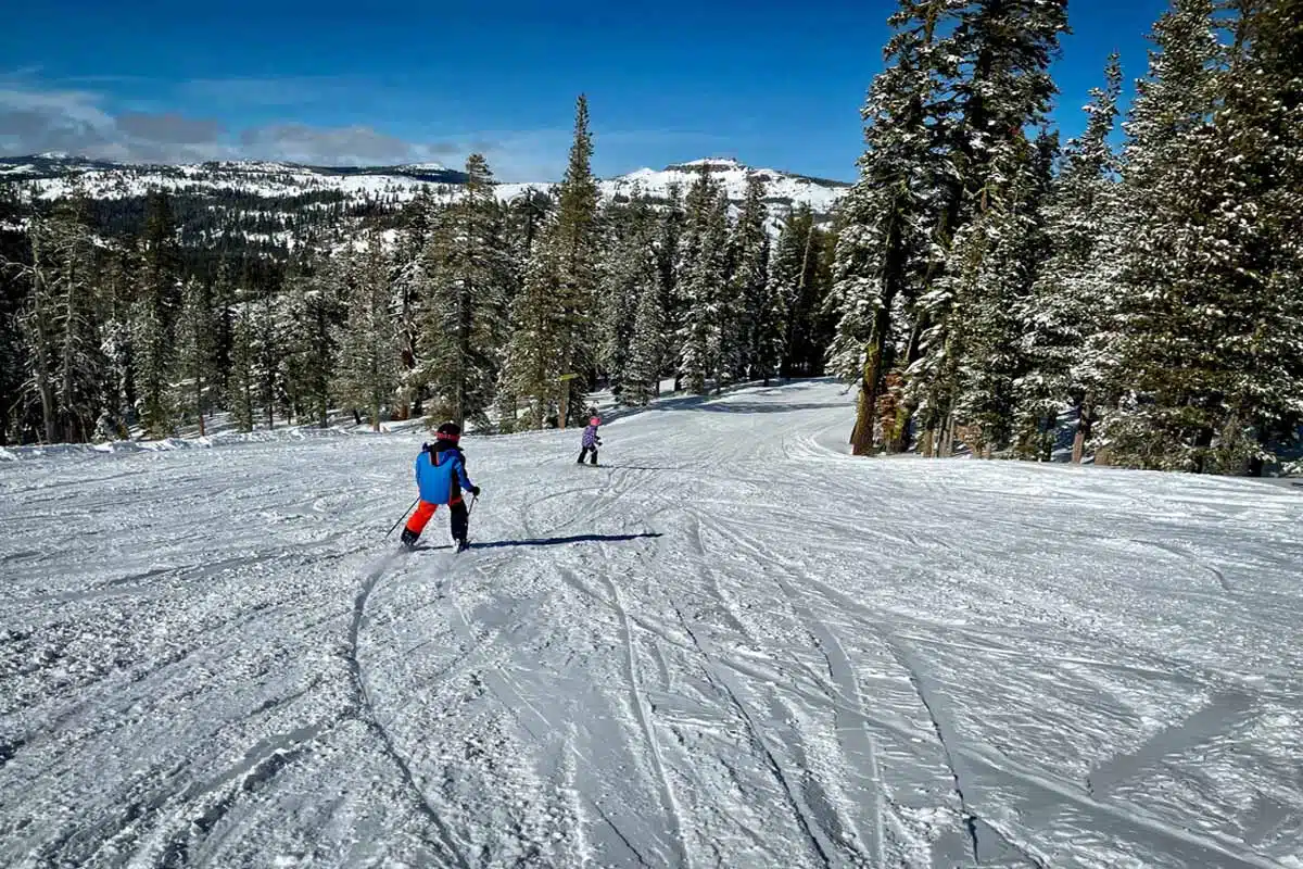 Sugar Bowl