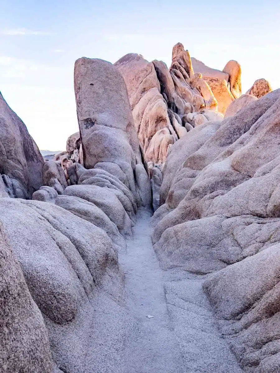 Best hikes in on sale joshua tree national park