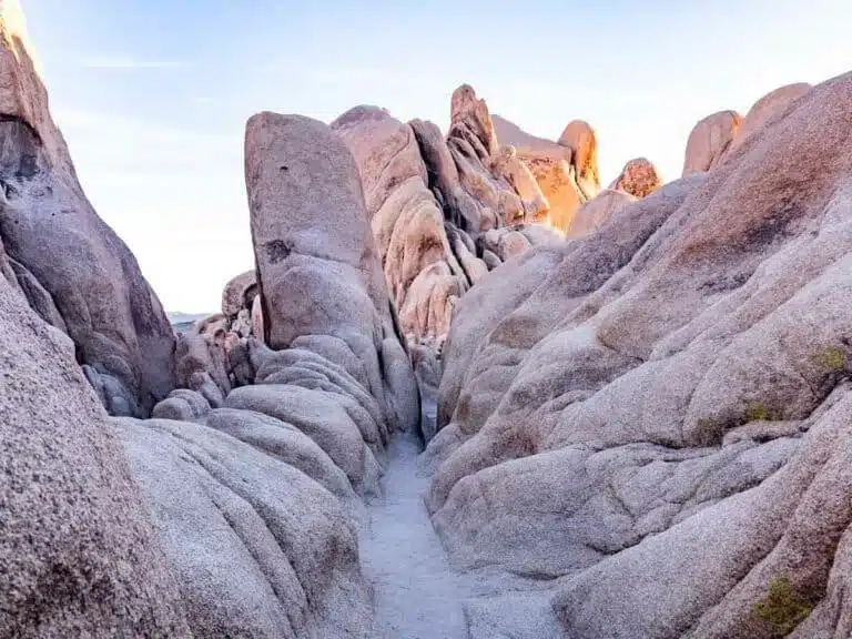 Stunning Hikes in Joshua Tree National Park: Trails to Help You Discover Joshua Tree